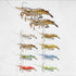 LIVE TARGET Live Shrimp Finess Bait 3 3/4", 3/8 Oz, Grass Shrimp