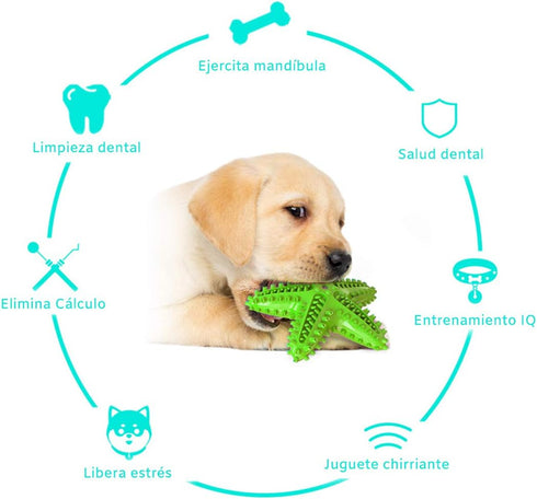 THE SMALL MOMENT Dog Dental Toy - Heavy Duty Teether for Puppies and Adults with Cleansing Bumps - Natural Rubber