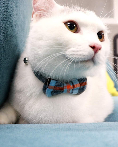 Joytale Upgraded Cat Collar with Bells, Breakaway Safety Plaid Bow Tie Collar for Girls and Boys, Haze Blue