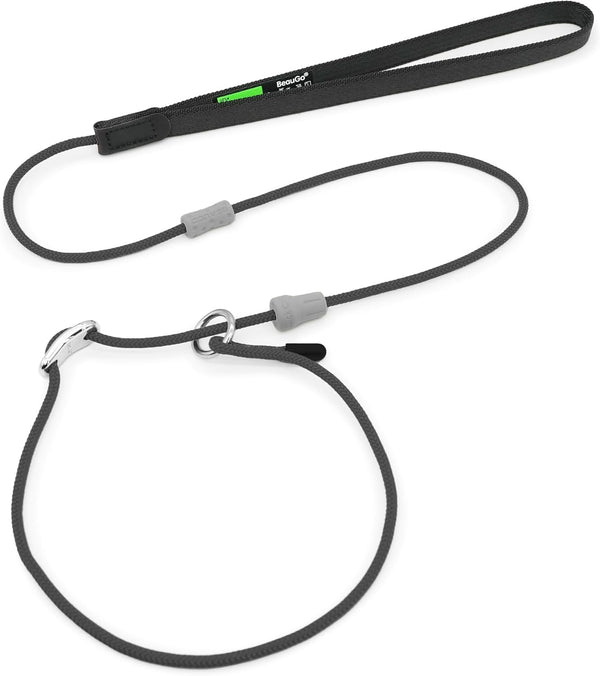 Dog Leash, Strong Lightweight Pet Training Leash for Small, Medium, or Large Dogs, Slip Leads (Black, 4ft)