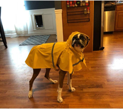 NACOCO Large Dog Raincoat, Adjustable Waterproof Pet Jacket Poncho with Reflective Strip (M, Yellow)