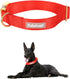 Babole Red Nylon Dog Collars for Small Puppy, 13 Colors Adjustable Soft Comfortable Pet Collars with Safety Metal