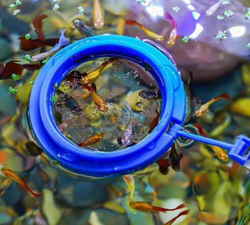 Coral Reef Grabber and Feeder, Aquarium Veggie Feeder and Food Clip, Anti-Rust Kits for Coral Feeding