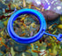 Coral Reef Grabber and Feeder, Aquarium Veggie Feeder and Food Clip, Anti-Rust Kits for Coral Feeding