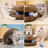 ORVIXA Kitty Kurlz Cat Toy - Accordion Cat Scratcher Toy with Bell Ball Foldable Cardboard Scratching Pad for Indoor