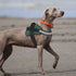 Bolux Dog Harness, No-Pull Reflective Dog Vest, Breathable Adjustable Pet Harness with Handle for Outdoor Walking (Dark