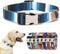 Soft Durable Dog Collar with Metal Buckle, Quick Release Adjustable for Small Medium Large Dogs and Kittens (Blue XL)