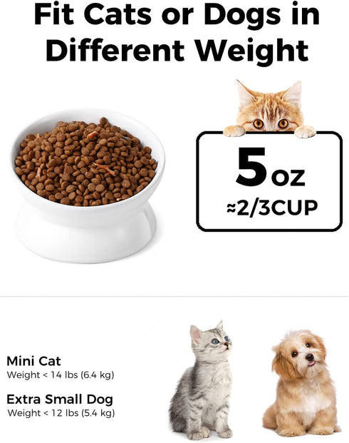 Elevated Cat Food Bowl, 5 Oz Ceramic Raised and Tilted Water Bowl, Anti Vomiting and Protect Pets' Spines Dishes for Small Dog, Fat Faced Cat, Kitten (White, 1 Pack)