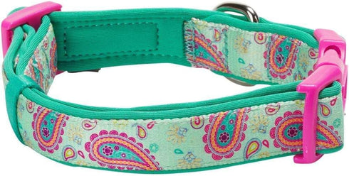 Blueberry Pet Soft & Comfy Paisley Flower Dog Collar, Neoprene Padded, Emerald Green, Large, Neck 18-26, Dog Collars