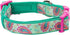 Blueberry Pet Soft & Comfy Paisley Flower Dog Collar, Neoprene Padded, Emerald Green, Large, Neck 18-26, Dog Collars
