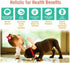 Chicken Soup for the Soul Pet Food, Grain-Free Dry All Stages Dog Food, Salmon, Pea & Sweet Potato Recipe, 4 Pound Bag