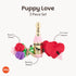 (3 Set) P.L.A.Y. Cute Plush Dog Toys - Puppy Love Valentine's Day Themed Durable Squeaker Chew Toys, Great for Puppies