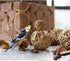 Tfwadmx 10 Pcs Willow Ball, Bird Foraging Toys, Small Animal Chew Toy for Parrot, Macaw, Hamster, Guinea Pig