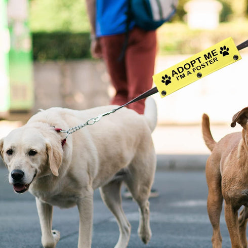 JXGZSO Adopt Me I’m A Foster Leash Sleeve Wrap, Dog Gift for Dog Owners