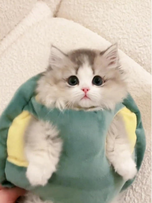 Cute Cat Costumes Turtle Shell Kawaii Kitten Clothes, Dog Puppy Vest Pet Apparel (Small, Turtle Shell)