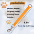 Short Dog Leash-Traffic Leash Short Leash for Dog Training Traffic Lead Handle Dog Grab Tab Dog Traning Leash Handle Traffic Handle Dog Leash Traffic Handle Leash Grab (orange & sky blue)