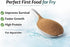 Generic (0.7oz) Premium Brine Shrimp Eggs High Hatch Rate Artemia Cysts for Fish Fry, Reef & Aquarium Fish Clean