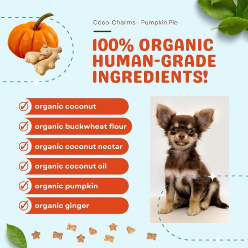 Cocotherapy Coco-Charms Training Treats - Pumpkin Pie, 5 Oz Pouch