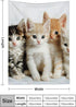 PALNKART 40x50in Cute Cat Flannel Blanket for Sofa Bed Travel Camping Chair, Soft Warm Lightweight Multifunctional Gift