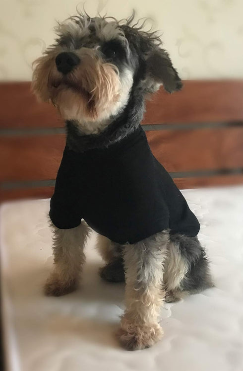 Lovelonglong Dog Pullover Sweatshirt for Autumn Winter, Cold Weather T-Shirts for Small to Large Dogs, Black XS