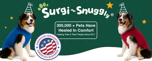 Veterinary Approved Disposable Dog Diapers Keeper - Perfect Fit for Male & Female Dogs