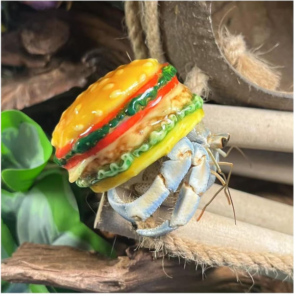 Opaeroo Hamburger Shape Designs Hermit Crab Shells for Home Decorations Hermit Crab Supplies