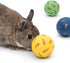Niteangel Treat Ball, Snack Ball for Guinea Pigs, Rabbits, Hedgehogs and Other Small Pets (Small, Yellow, Blue & Green)