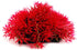 Red Artificial Flowers, Fake Pine with Base Grass Fish Tank Ornament, Aquatic Plant Landscape Decor for Aquarium