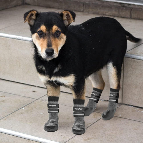 BINGPET Dog Socks for Hardwood Floors, Outdoor Anti-Slip Waterproof Paw Protector, Dog Boots for All Season