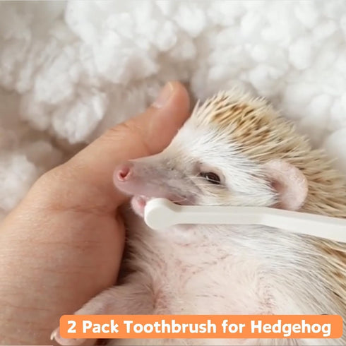 (2PC) Mini Pet Toothbrush Mini Head Soft Bristles Gentle Pet Toothbrush for Small Pets Dental Care Hedgehog Rat Ferret