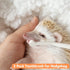 (2PC) Mini Pet Toothbrush Mini Head Soft Bristles Gentle Pet Toothbrush for Small Pets Dental Care Hedgehog Rat Ferret
