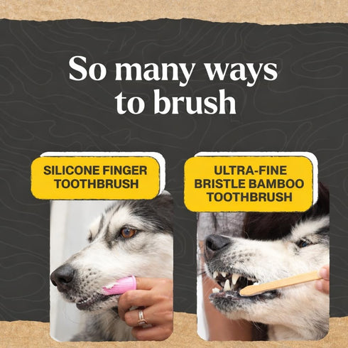 Dr. Oakley Dental Toothbrush Kit for Dogs & Cats -Finger Brush for Small Pets and Soft Brushes for Large or Older