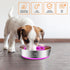 2-in-1 Metal Dog Bowl with Slow Feeder Insert, Stainless Steel Food Grade 304 Bowl with Anti-Slip Base for Small &