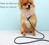 2 Pcs 8ft Slip Lead Dog Leash, Reflective No Pull Training Leash, 1/3" Nylon Rope for Small Medium Dogs (Blue+Black)