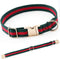 Premium Cute Dog Collar, Luxury Style Durable Pet Collars with Metal Buckle Safety for Small Dogs and Puppies