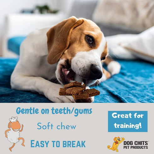 Dog Chits Lamb and Flaxseed Soft Chew for Dogs, All Natural Treats, Made in USA, Rich in Omega 3 and 6, 4 oz.