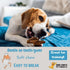 Dog Chits Lamb and Flaxseed Soft Chew for Dogs, All Natural Treats, Made in USA, Rich in Omega 3 and 6, 4 oz.