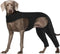 ROZKITCH Dog Surgery Recovery Sleeve for Rear Right Left Leg, Wound Elbow Brace Protector, Black 2XL