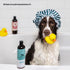12 oz kin+kind Cat & Dog Conditioner with Shea Butter, Aloe & Betaine All-Natural Pet Supplies to Moisturize, Soften