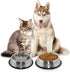 Stainless Steel Cat Bowl - 2 Pack Metal Dog Bowls for Food & Water, Non-Slip Pet Feeding Dish with Rubber Base