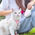 Pink Retractable Dog Leash, 10 ft for Small and Medium Dogs and Cats, One Button Brake, Pause, Lock by LFCXHTY