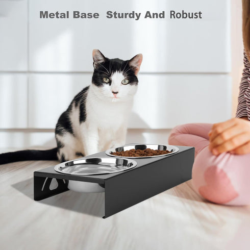 Elevated Cat Bowls, 5° Tilted Raised Metal Bowl with 2 Thick Stainless Steel 13.5 oz Bowls