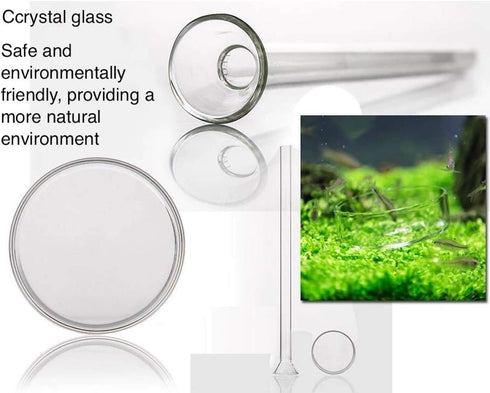 Shrimp Feeding Tube and Dish, Clear Crystal Glass Shrimp Feeder Tube Tray for Aquarium (10")