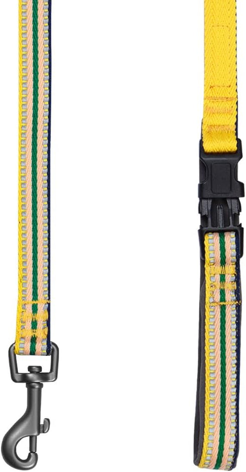 Blueberry Pet Large 3M Reflective Multi-colored Stripe Dog Leash, 4 ft x 1", Yellow & Green