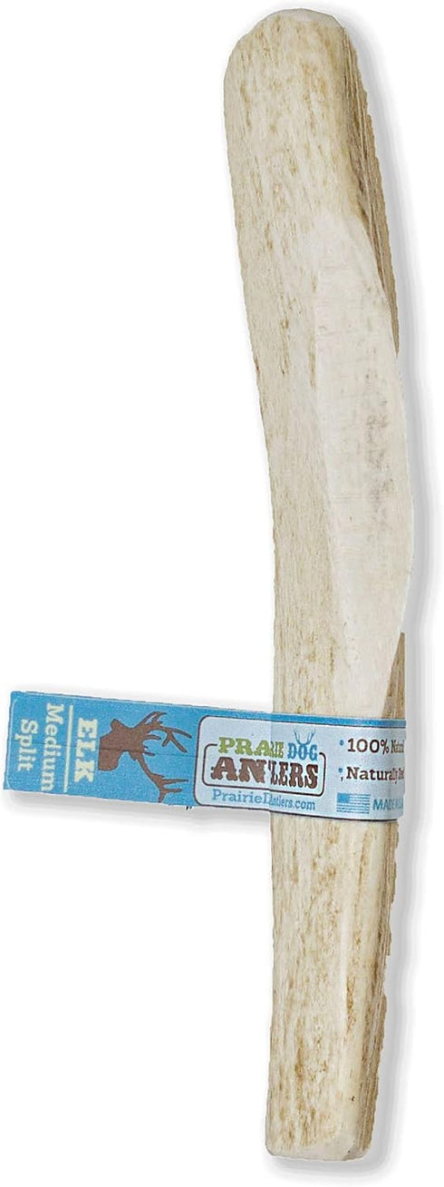 Prairie Dog Elk Antler Chew, Naturally Shed, Hand Harvested in North America, Large