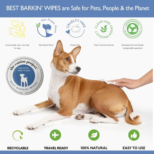 Best BARKIN' Wipes - Dog Wipes for Paws, Ears, and Butt - Micellar Aloe Scented - Travel Friendly - 12-Pack with Free