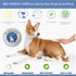 Best BARKIN' Wipes - Dog Wipes for Paws, Ears, and Butt - Micellar Aloe Scented - Travel Friendly - 12-Pack with Free