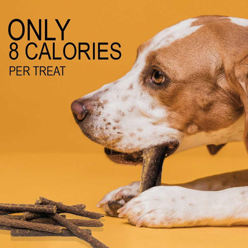 5oz Chicken Soup for The Soul All Natural Premium Savory Sticks Soft & Chewy Dog Treats, Real Beef First Ingredient, No