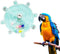 MANON ROSA Bird Toys for Parrots - Spinning Wheel Chew Toy with