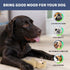 Act boldly 5-Pack Squeaky Dog Toys Durable Animal-Shaped Plush Chew Toys for Dogs, Handmade Interactive Puppy Toys